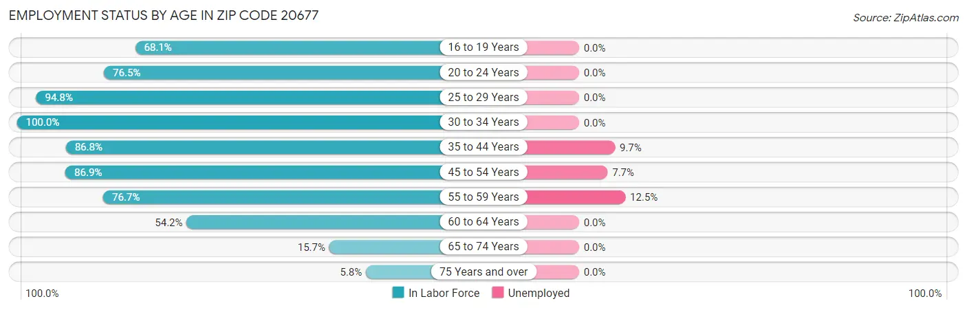 Employment Status by Age in Zip Code 20677