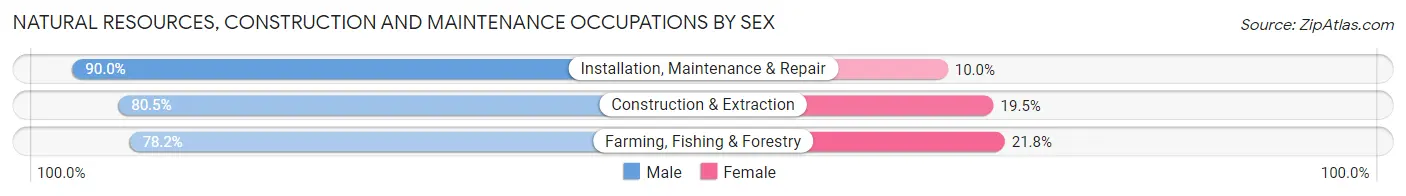 Natural Resources, Construction and Maintenance Occupations by Sex in Zip Code 20678