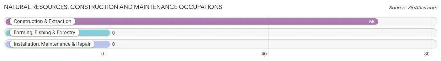 Natural Resources, Construction and Maintenance Occupations in Zip Code 20680