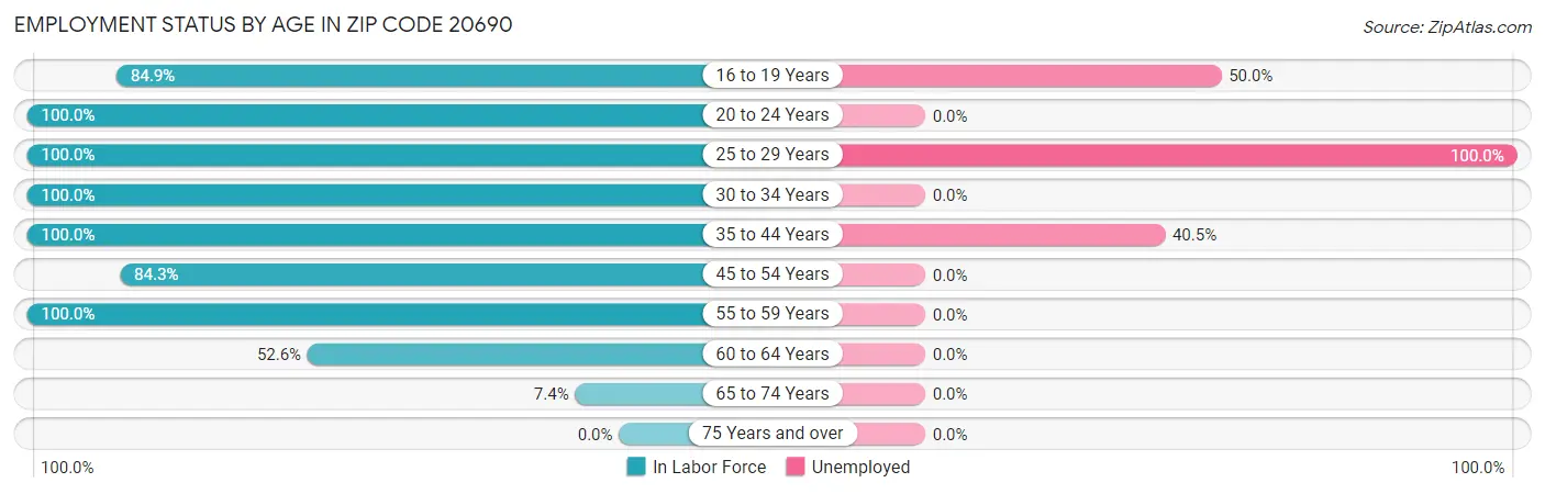 Employment Status by Age in Zip Code 20690