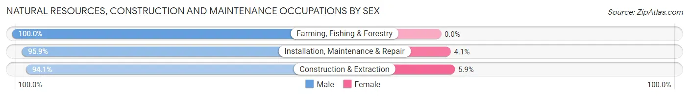 Natural Resources, Construction and Maintenance Occupations by Sex in Zip Code 20705