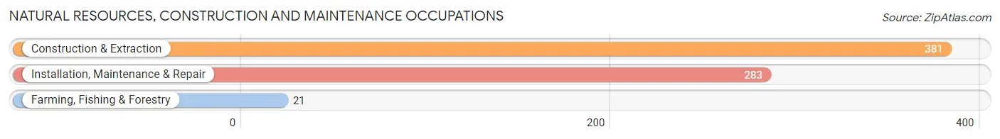 Natural Resources, Construction and Maintenance Occupations in Zip Code 20720