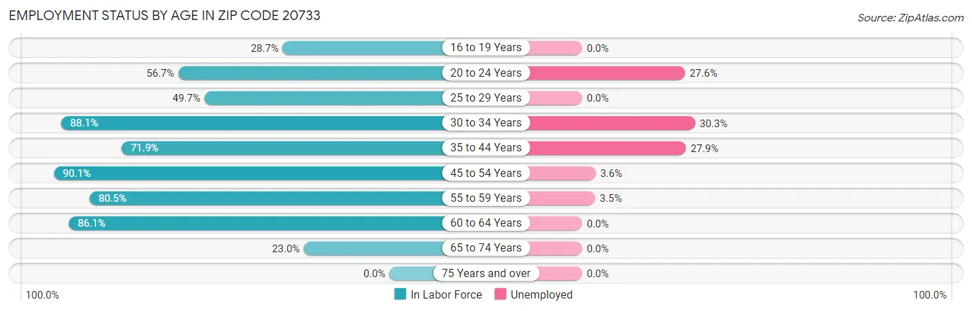 Employment Status by Age in Zip Code 20733