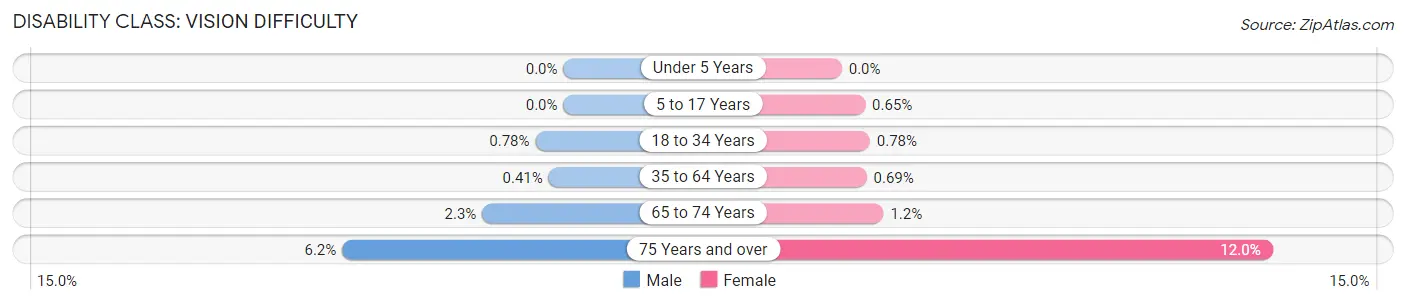 Disability in Zip Code 20735: <span>Vision Difficulty</span>