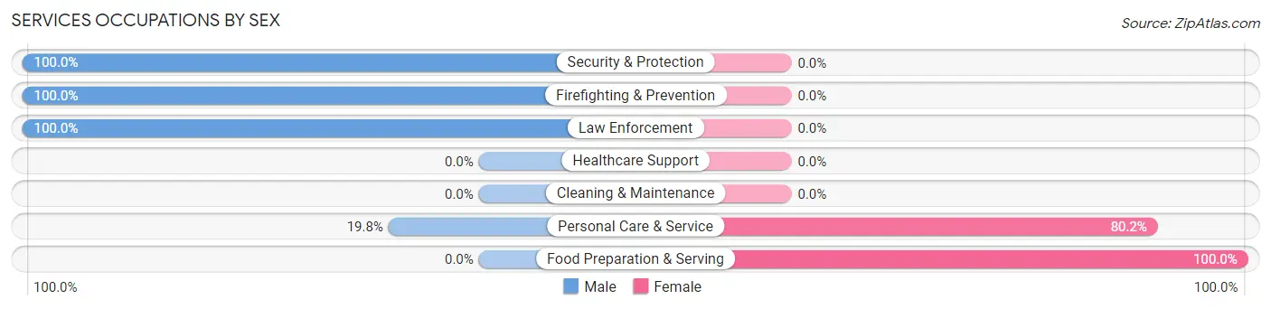 Services Occupations by Sex in Zip Code 20764