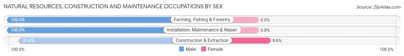Natural Resources, Construction and Maintenance Occupations by Sex in Zip Code 20770
