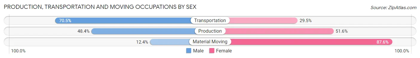 Production, Transportation and Moving Occupations by Sex in Zip Code 20770