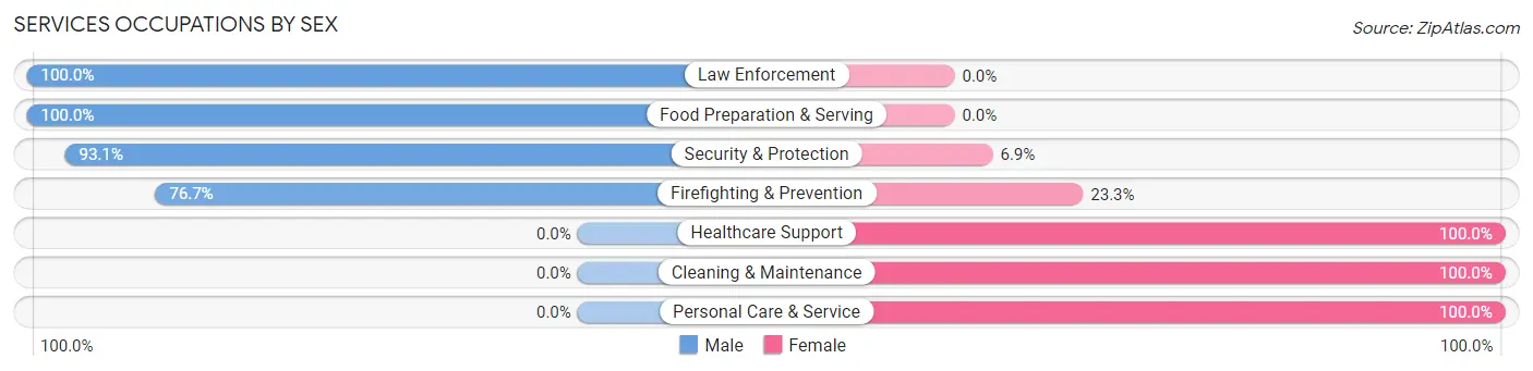 Services Occupations by Sex in Zip Code 20778