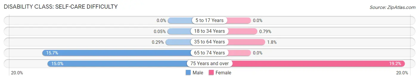 Disability in Zip Code 20781: <span>Self-Care Difficulty</span>