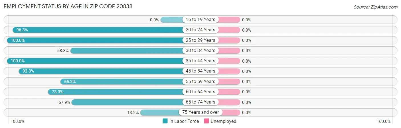 Employment Status by Age in Zip Code 20838
