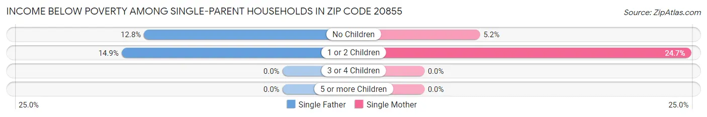 Income Below Poverty Among Single-Parent Households in Zip Code 20855