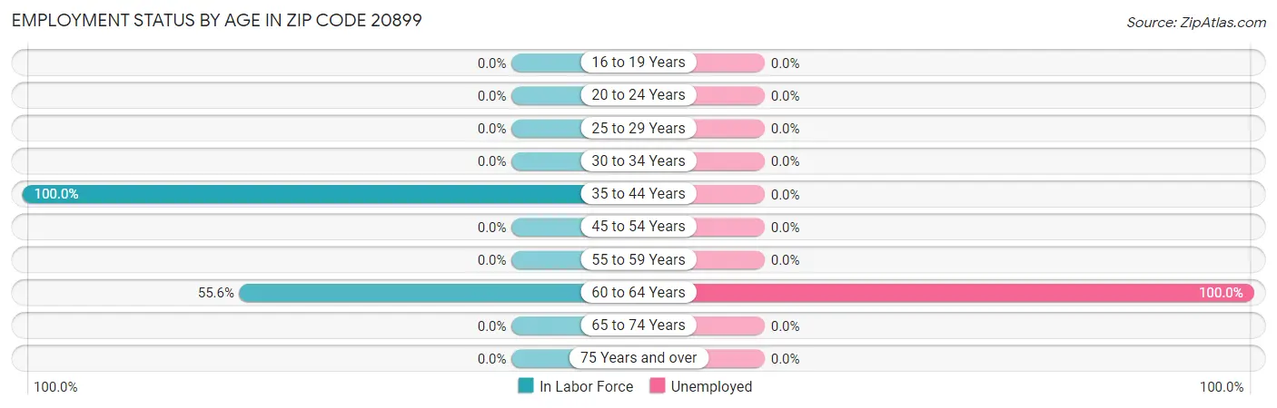 Employment Status by Age in Zip Code 20899