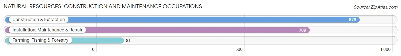 Natural Resources, Construction and Maintenance Occupations in Zip Code 20904