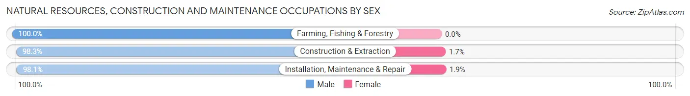 Natural Resources, Construction and Maintenance Occupations by Sex in Zip Code 20905