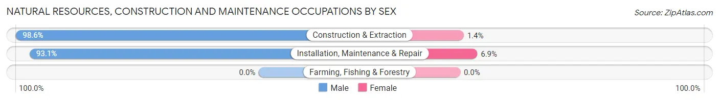 Natural Resources, Construction and Maintenance Occupations by Sex in Zip Code 21012