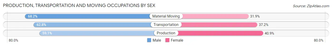 Production, Transportation and Moving Occupations by Sex in Zip Code 21030