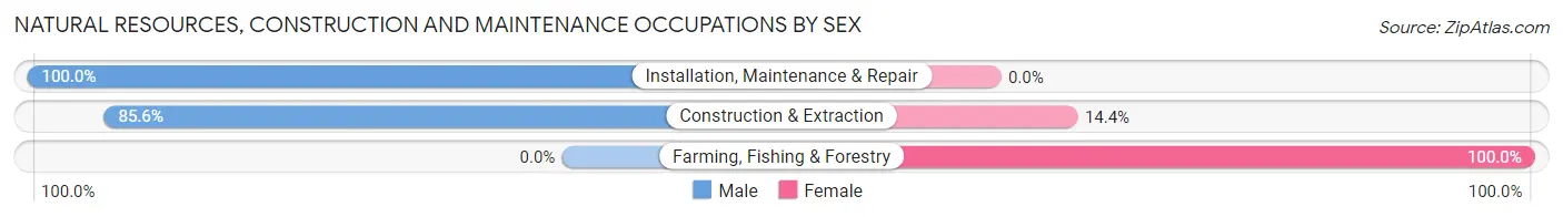 Natural Resources, Construction and Maintenance Occupations by Sex in Zip Code 21032
