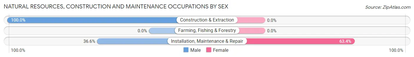 Natural Resources, Construction and Maintenance Occupations by Sex in Zip Code 21046