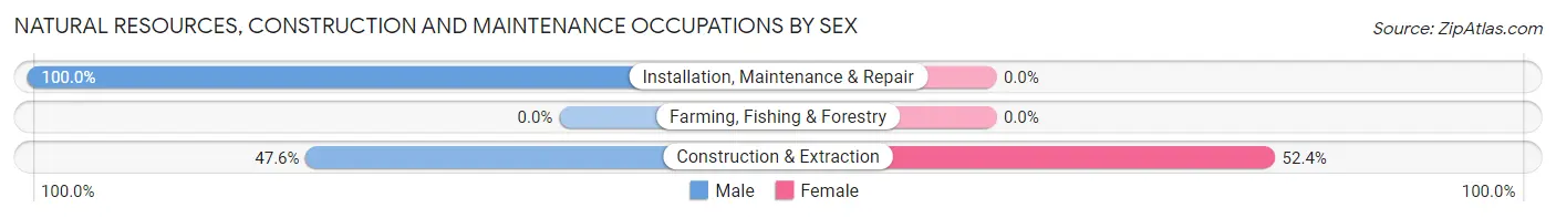 Natural Resources, Construction and Maintenance Occupations by Sex in Zip Code 21052