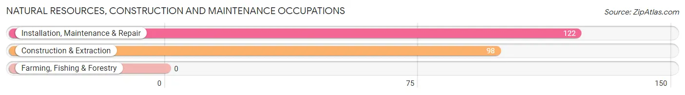 Natural Resources, Construction and Maintenance Occupations in Zip Code 21053