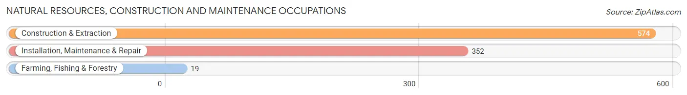 Natural Resources, Construction and Maintenance Occupations in Zip Code 21075