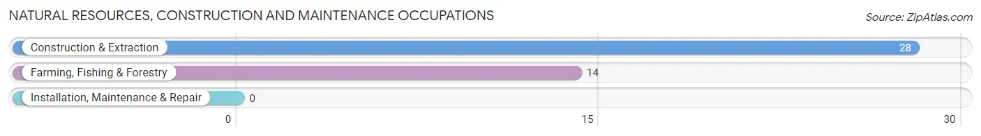 Natural Resources, Construction and Maintenance Occupations in Zip Code 21082