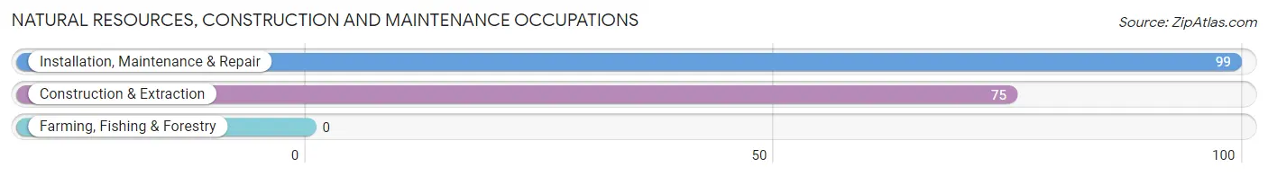 Natural Resources, Construction and Maintenance Occupations in Zip Code 21104