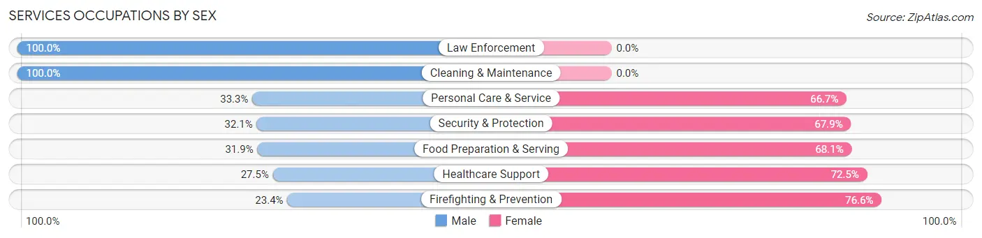 Services Occupations by Sex in Zip Code 21104