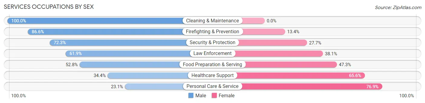 Services Occupations by Sex in Zip Code 21113