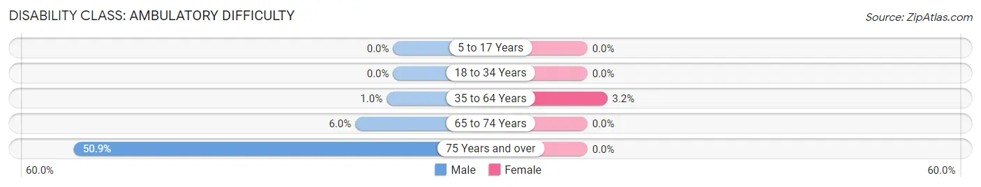 Disability in Zip Code 21132: <span>Ambulatory Difficulty</span>