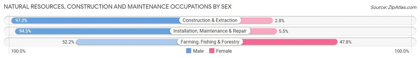 Natural Resources, Construction and Maintenance Occupations by Sex in Zip Code 21136