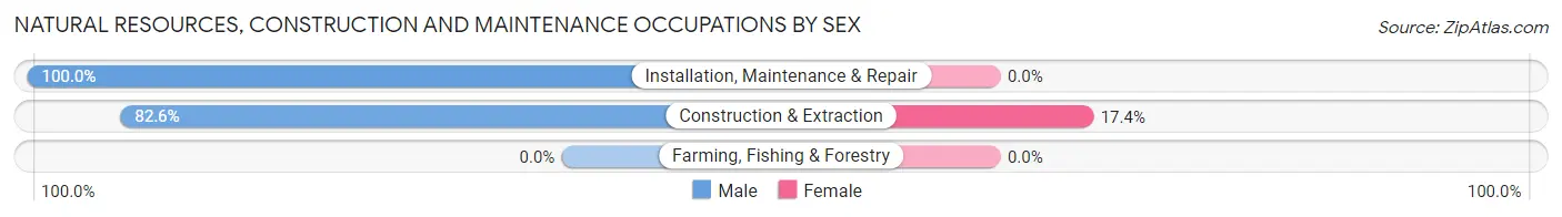 Natural Resources, Construction and Maintenance Occupations by Sex in Zip Code 21161