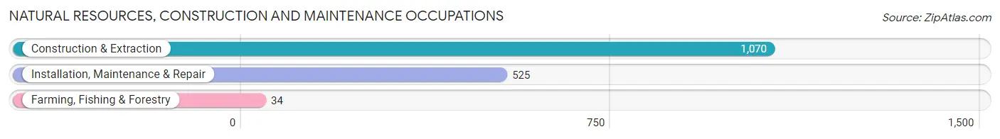 Natural Resources, Construction and Maintenance Occupations in Zip Code 21207