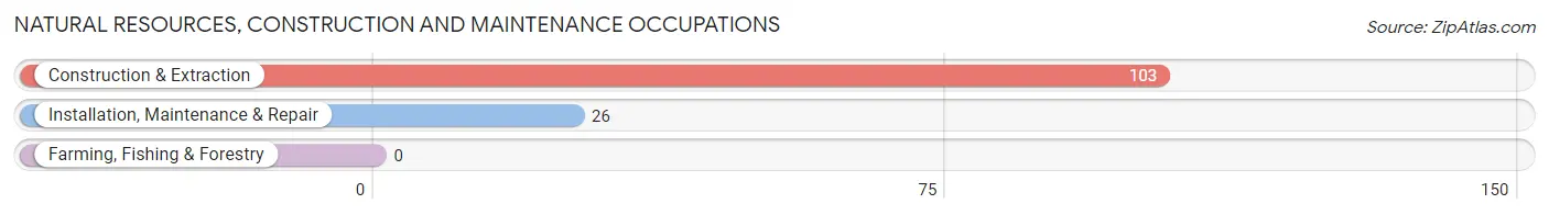 Natural Resources, Construction and Maintenance Occupations in Zip Code 21210