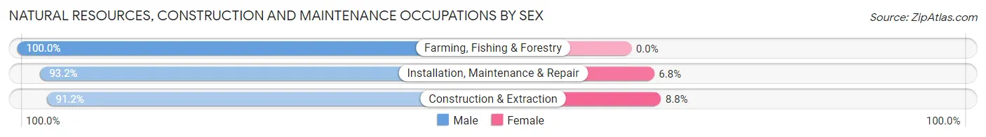 Natural Resources, Construction and Maintenance Occupations by Sex in Zip Code 21211