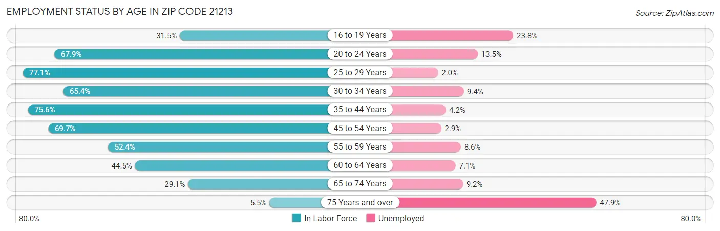 Employment Status by Age in Zip Code 21213