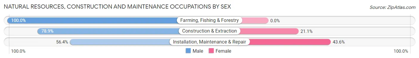 Natural Resources, Construction and Maintenance Occupations by Sex in Zip Code 21217