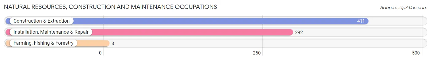 Natural Resources, Construction and Maintenance Occupations in Zip Code 21218