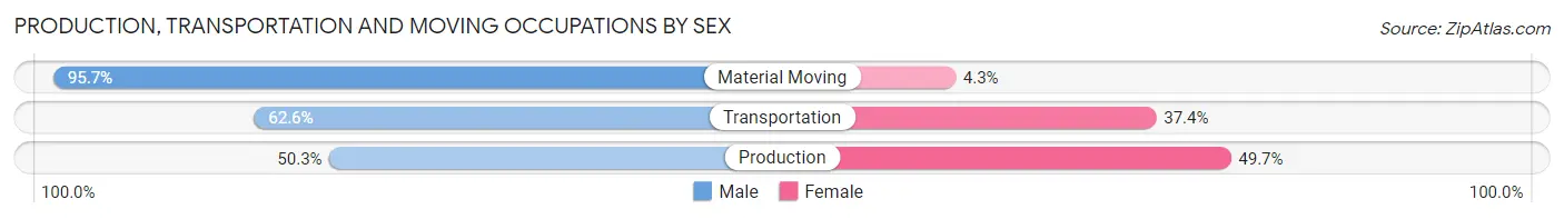 Production, Transportation and Moving Occupations by Sex in Zip Code 21219