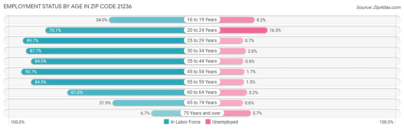 Employment Status by Age in Zip Code 21236