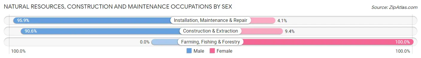 Natural Resources, Construction and Maintenance Occupations by Sex in Zip Code 21286
