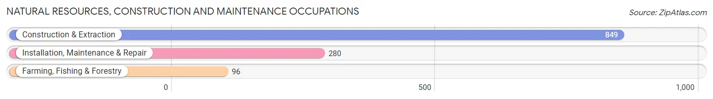 Natural Resources, Construction and Maintenance Occupations in Zip Code 21502