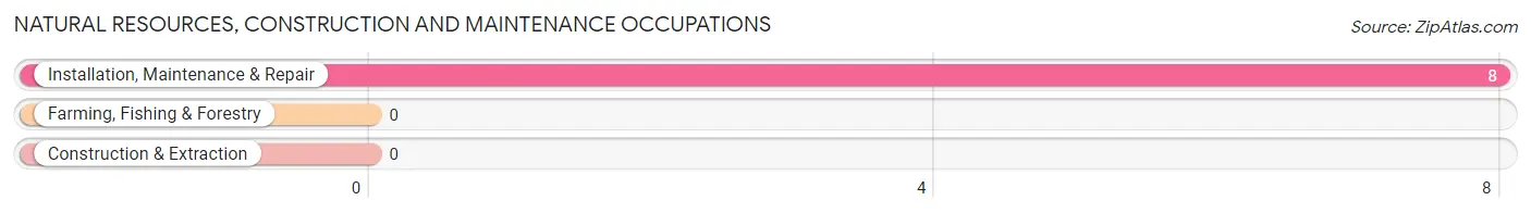 Natural Resources, Construction and Maintenance Occupations in Zip Code 21543