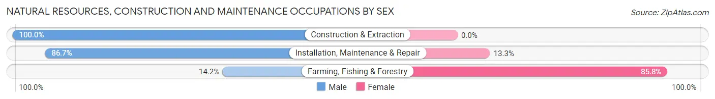 Natural Resources, Construction and Maintenance Occupations by Sex in Zip Code 21617