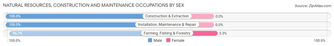 Natural Resources, Construction and Maintenance Occupations by Sex in Zip Code 21631