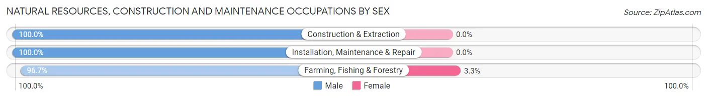 Natural Resources, Construction and Maintenance Occupations by Sex in Zip Code 21639