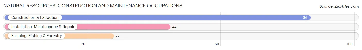 Natural Resources, Construction and Maintenance Occupations in Zip Code 21649