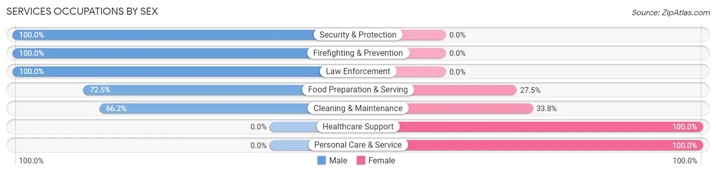 Services Occupations by Sex in Zip Code 21663