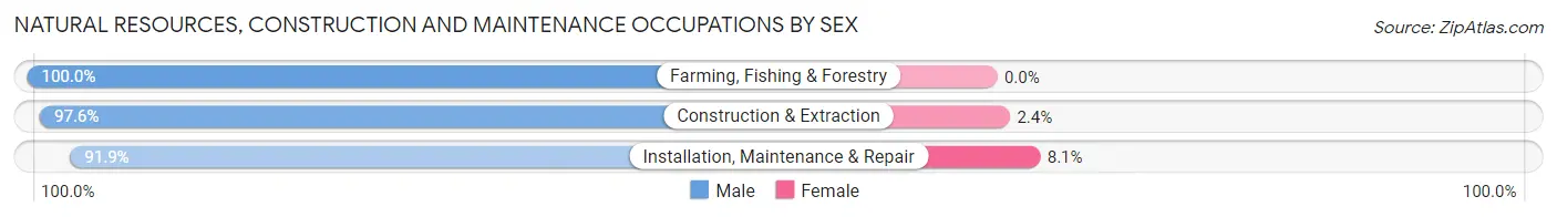 Natural Resources, Construction and Maintenance Occupations by Sex in Zip Code 21666