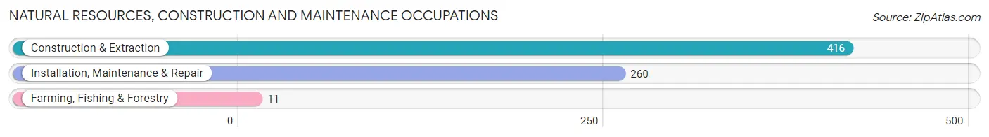 Natural Resources, Construction and Maintenance Occupations in Zip Code 21666